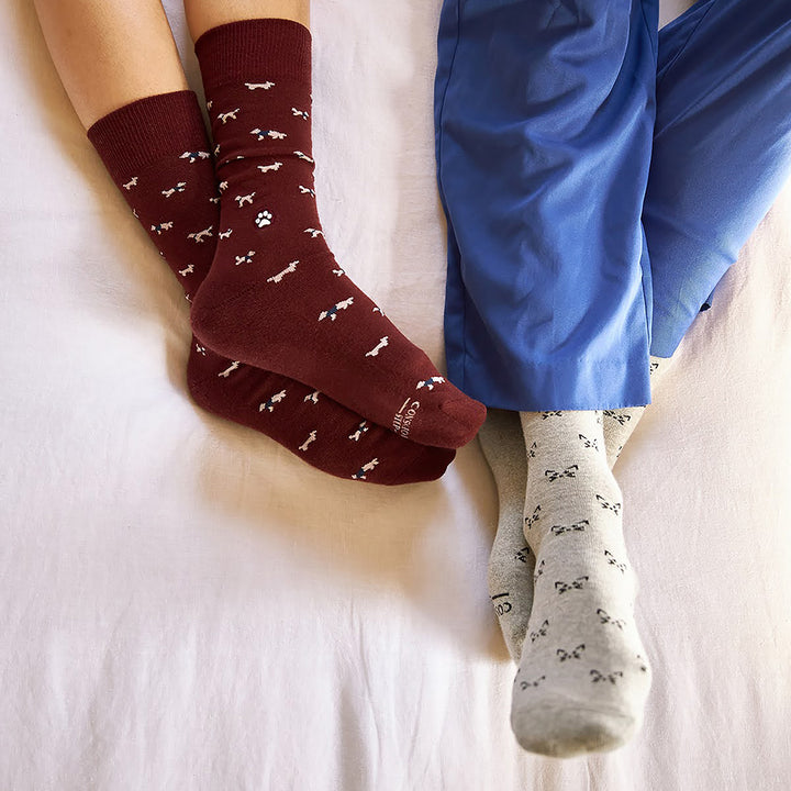 F6ujnjyRi1U37nbU9MpK1