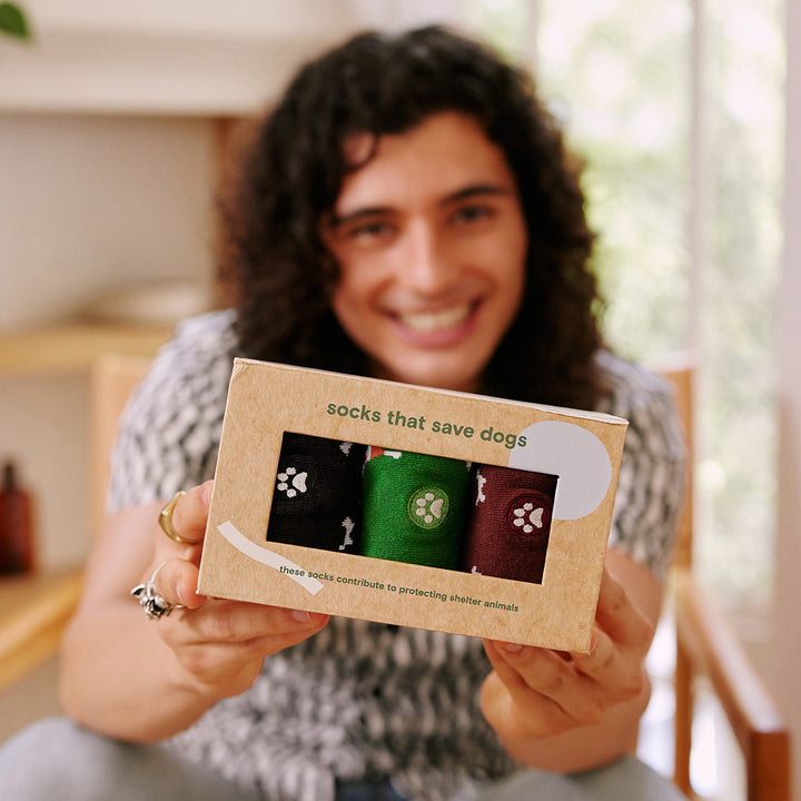 5JeU3TLROPHu3FNGXj7zIB