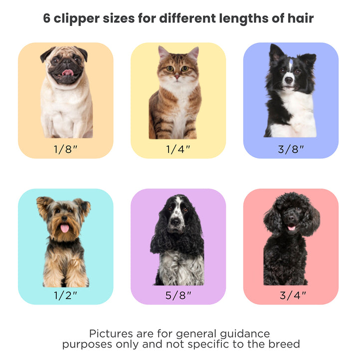 49CDuBtWeSbycO1gpAZ3i1