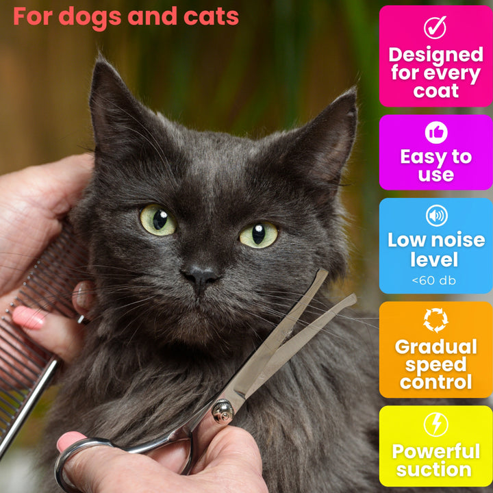 XxAbeXnQ7ZTOCe9Bhc22P