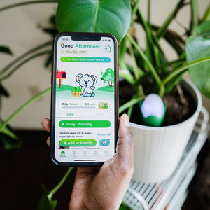 6htxK6oMEdZ7za0OCyQ8zM