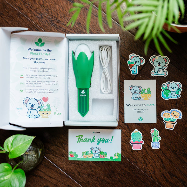 6IUzPV2bTAj8S0j6sQD4dQ