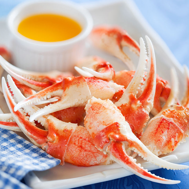 4xTGtRWTLM1u3efhKMHbCO