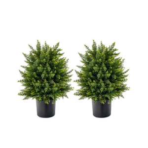 6gNm34ek7wEiDV8jjx1pfH