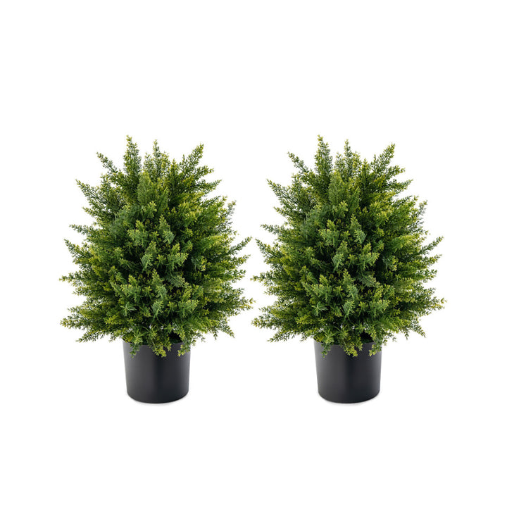 6gNm34ek7wEiDV8jjx1pfH