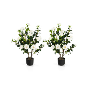 2tYBgDIBDQrQseYm3vJNNF