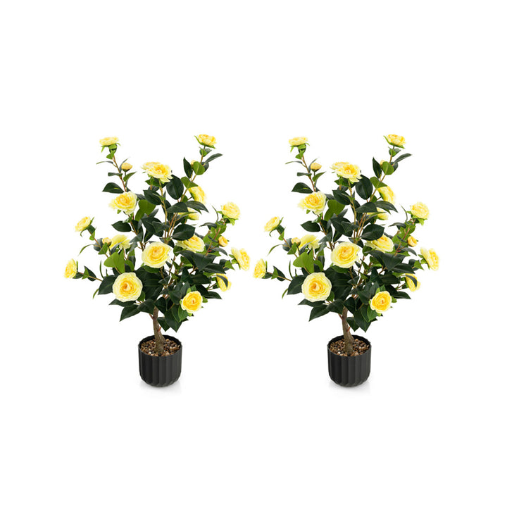 5sJJ893DWyvU8Muf13Qujg