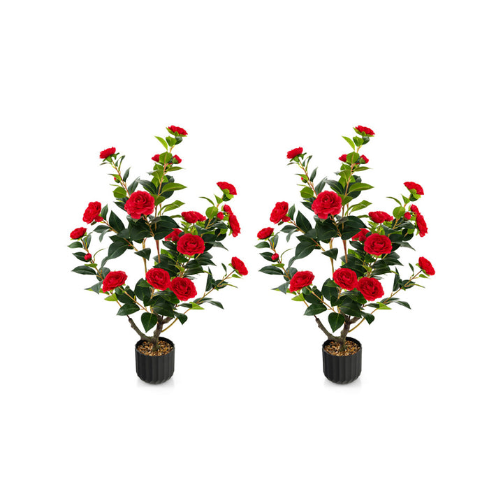 7d402TFiZfvBcY3yOSfxTJ