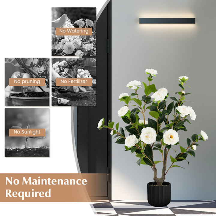 2O8tCYJFm2qllNpmPrZXdP