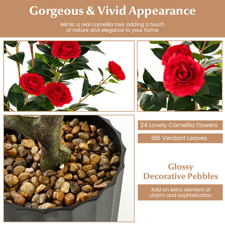 2lo42foBqn0auyJrSAh4Ls