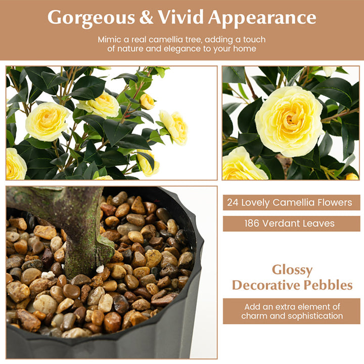 25b59YlPMzDnzXQ26xynfO