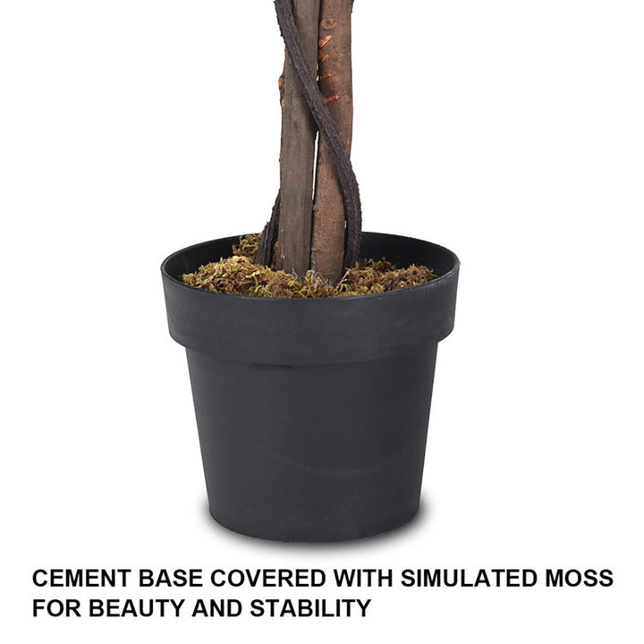 SZ3pQLaj23apDeL2Vs52h