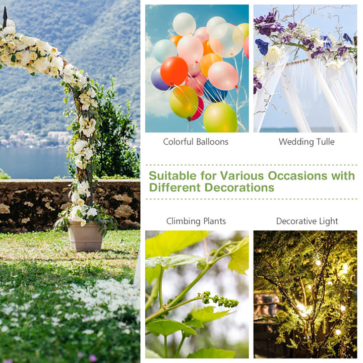 2xnzYZBSNcsgCANgfbIiDJ