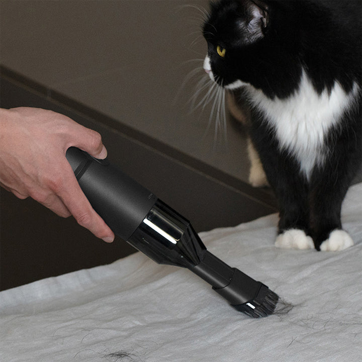 10J9tWeHUQ82jGnbebm8sj