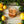 1xFnfct2j7eU3mcXRLm91D