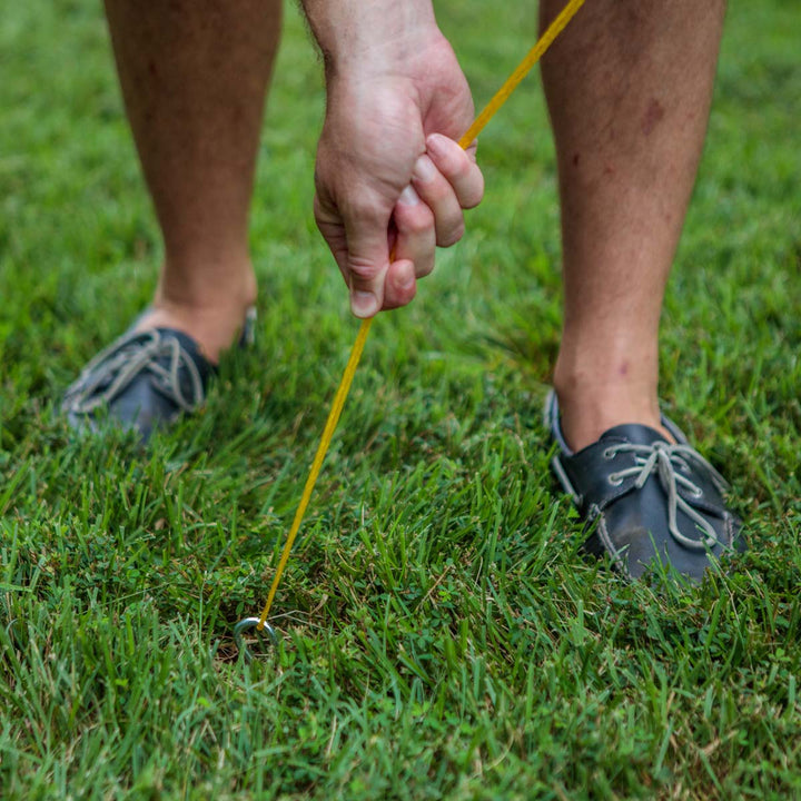 6GELlQzRwHisdxXJgTnrVY