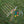xBqZdlsPkf47XY0Do4zNj