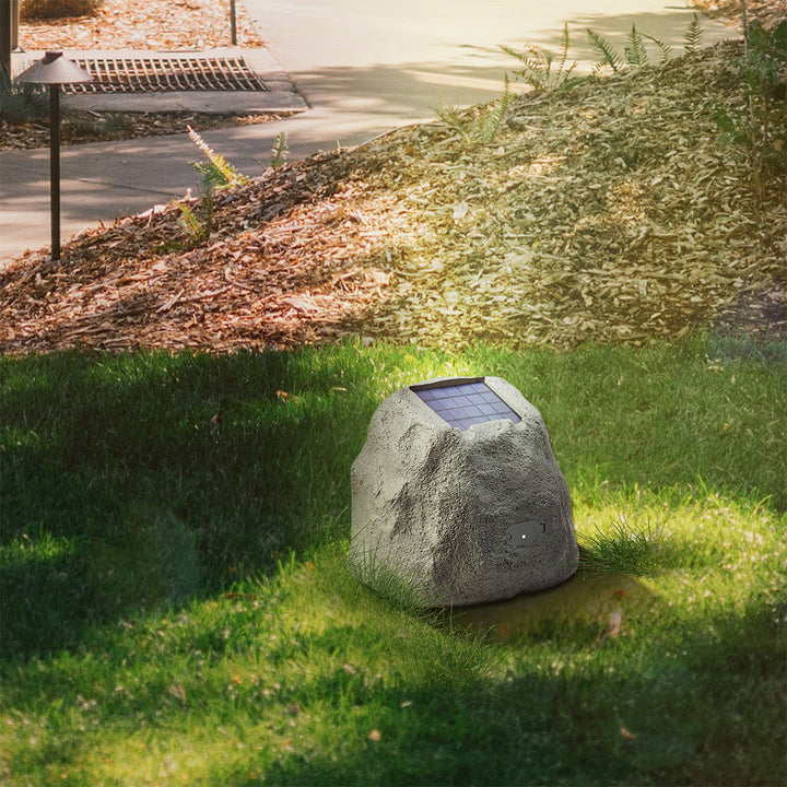 2nsXJN3lYhNCpWJdpZJ4M6