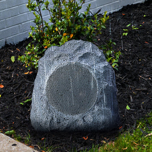 6F0lXh1lEc3XuDaTP0pLNP