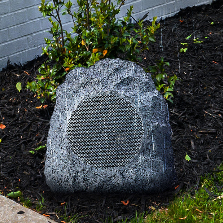 6F0lXh1lEc3XuDaTP0pLNP