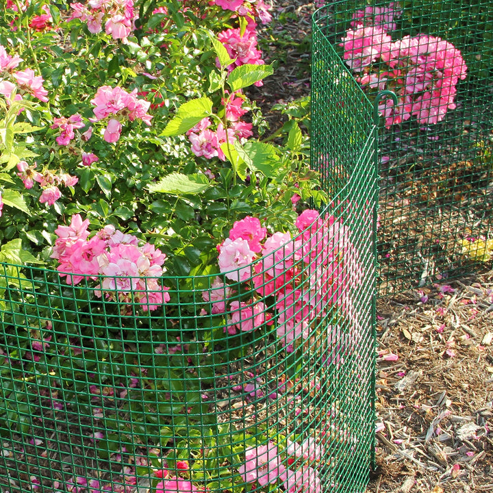 4AJjuBWOApWKxczOFKn6zj