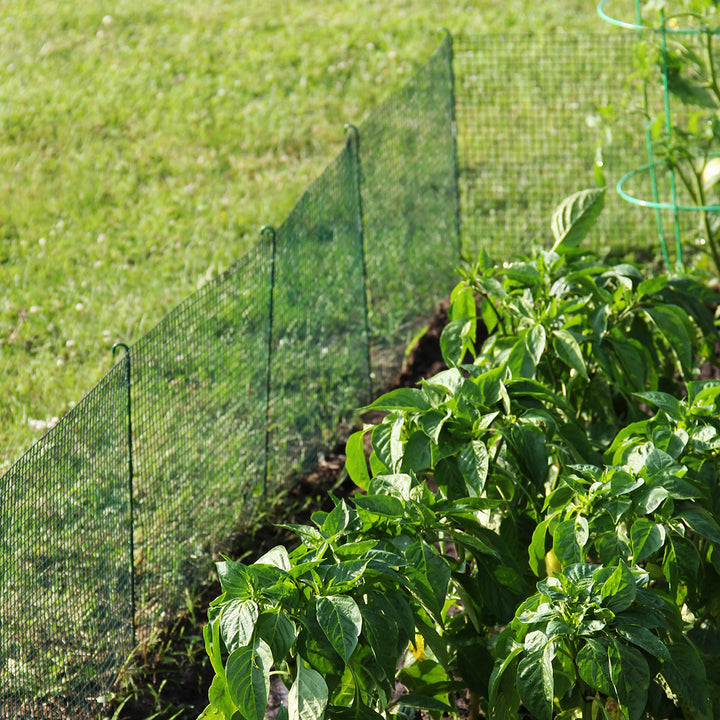 5wSllnHuo2Sp5aLhIv31Yg