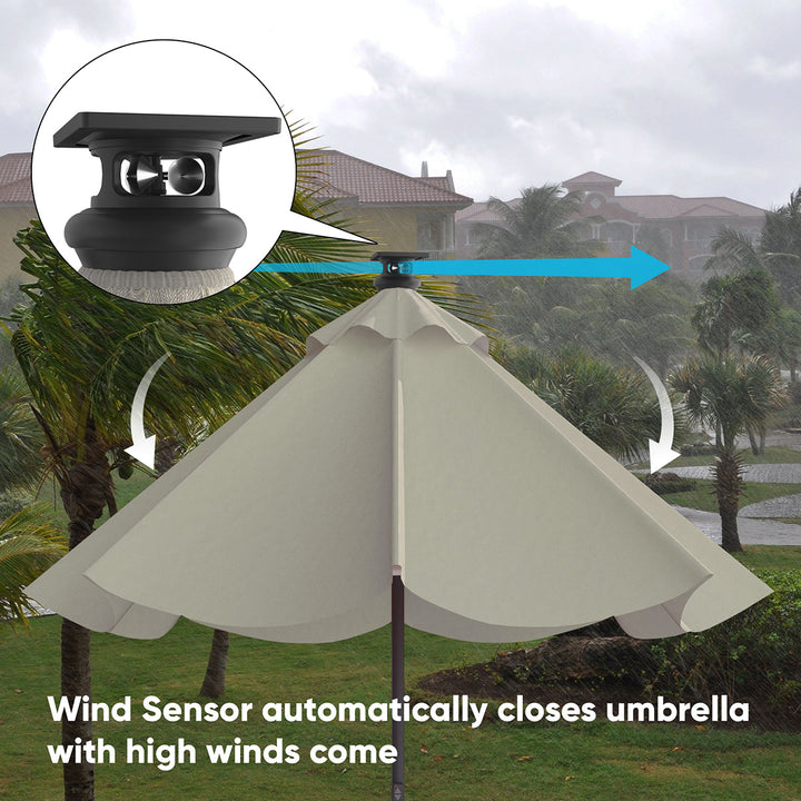 5i63EFIB2CPunUnT7qmTgb