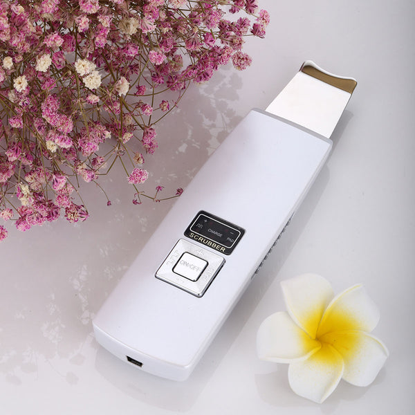 Ultrasonic Facial Massager – Sharper Image