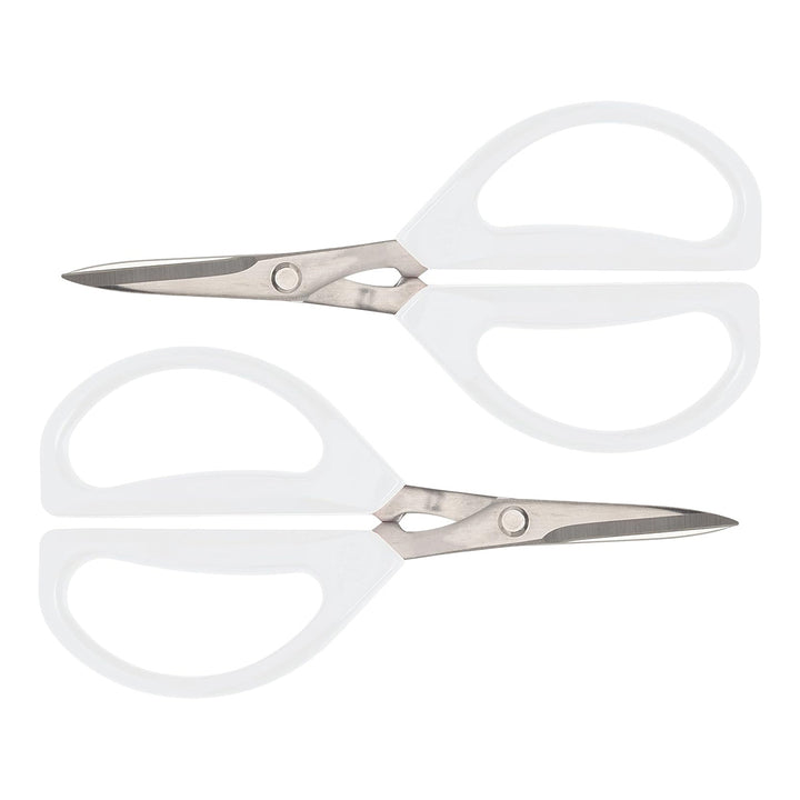 7Aism9lx5TZodp2cb2DZs6