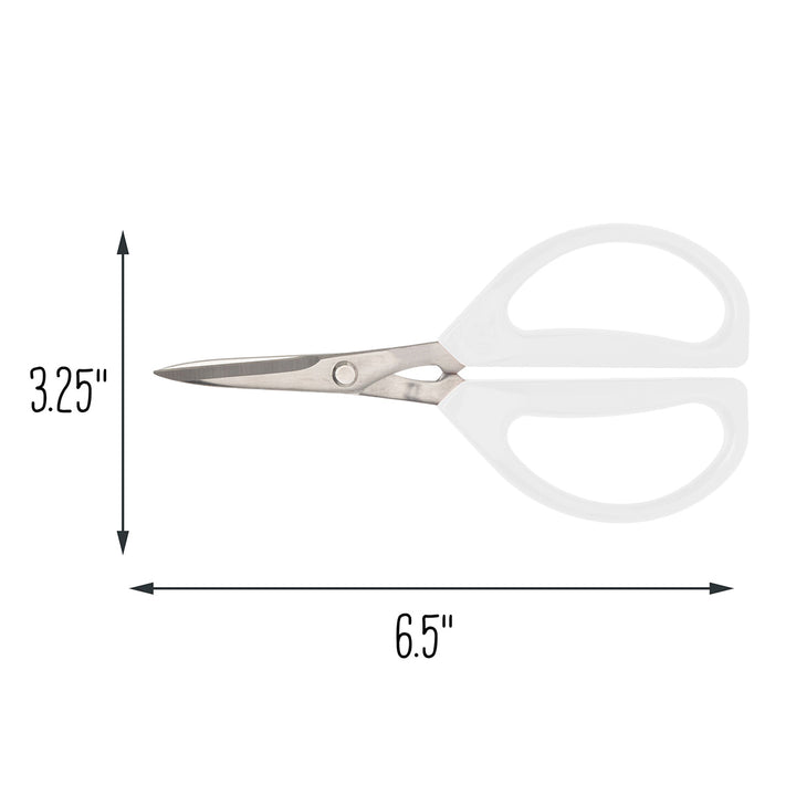 2CKlKBBwTiIcDSX5RE796E