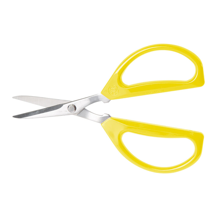 1BXBF7pPQVTRwfbZR7HSAy