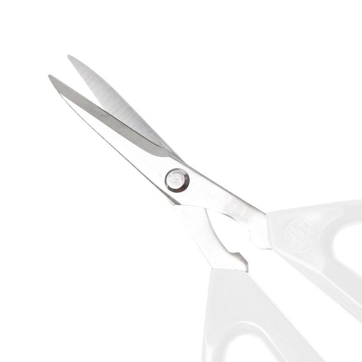 5brJm2dvSCH9XN9UCrg0Jw