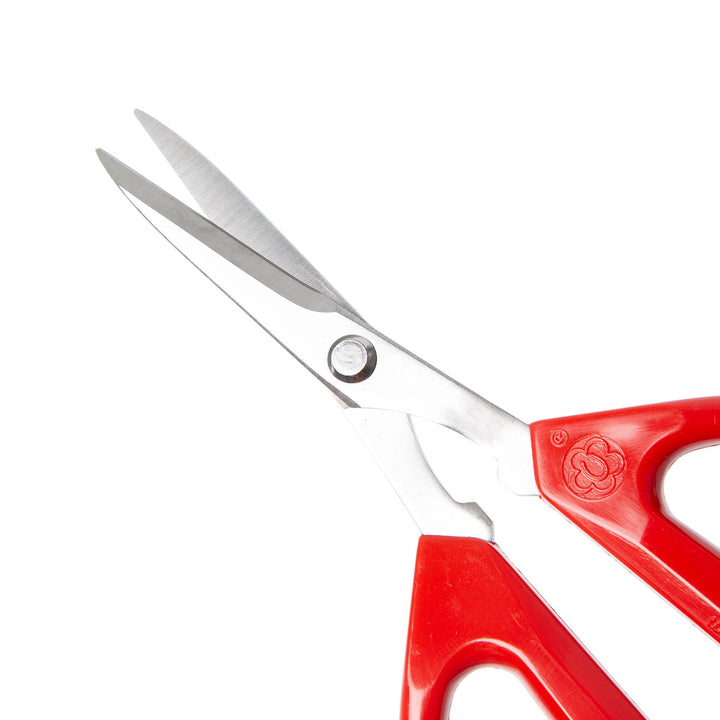 3mxO6NMLdq4Ytsol2hyh9X