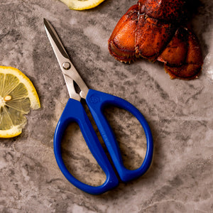 52EkfUdnIv0e0qtVI4Ow9V