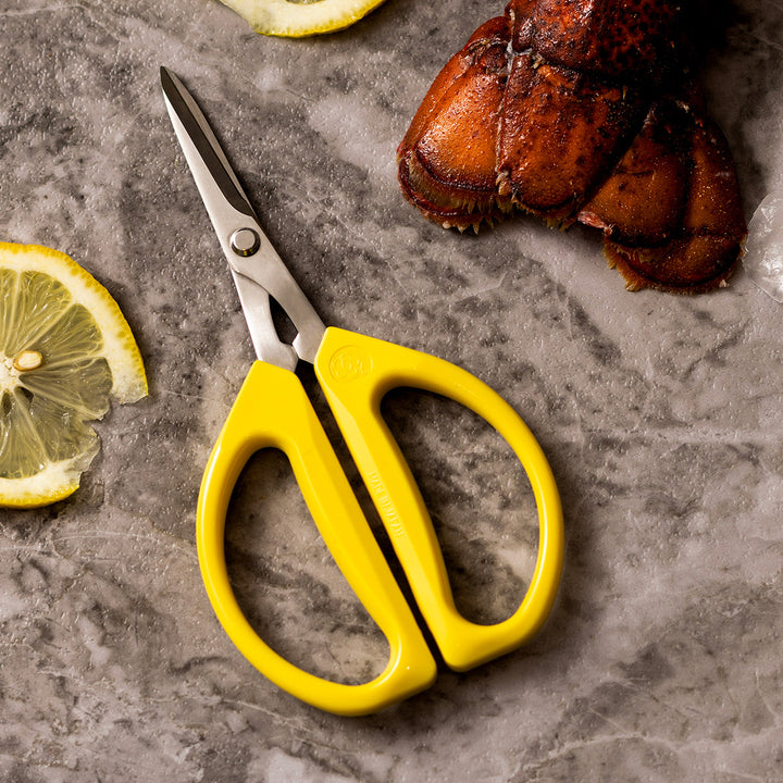 3M1lIATMzEfpiKF1ul9XsY