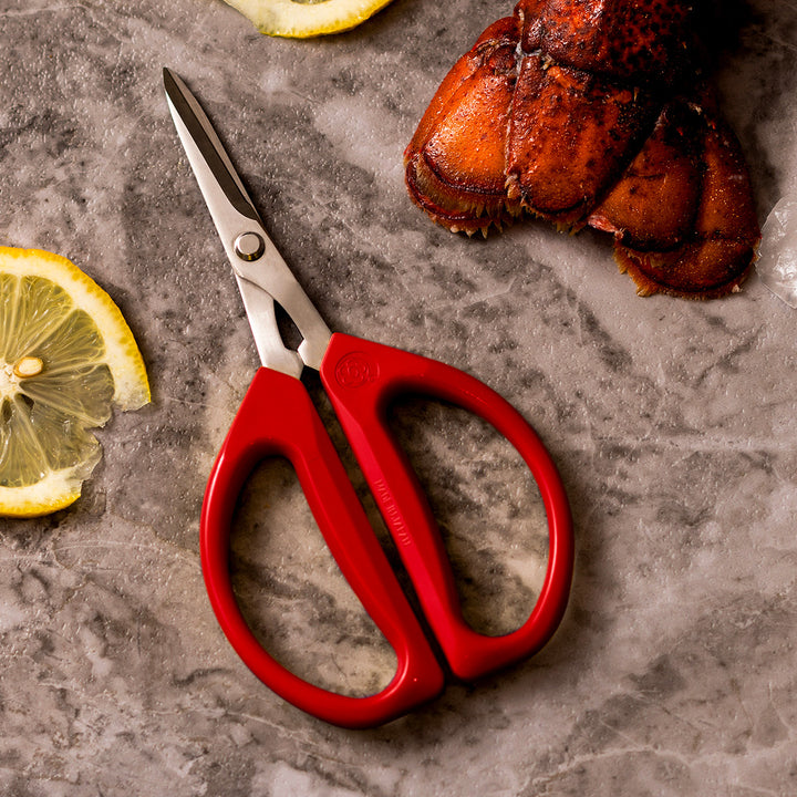 25agdO8VcfXqOxT4Q6CxVl