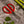 5KLtGCc9LN3qjsQXSxzcKd