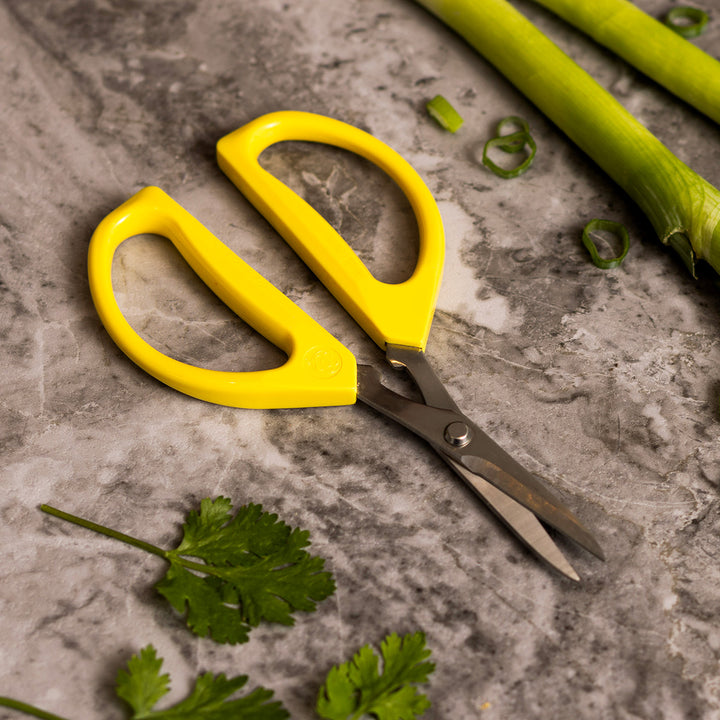 5cTIhTfBNZGe5Q2oh3dV3h