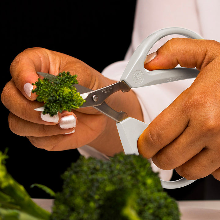 2tcSQnKYFQWc5r7i6vwv7v