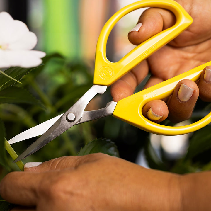 4b0KD6tH2owJqXMnV5vbiL