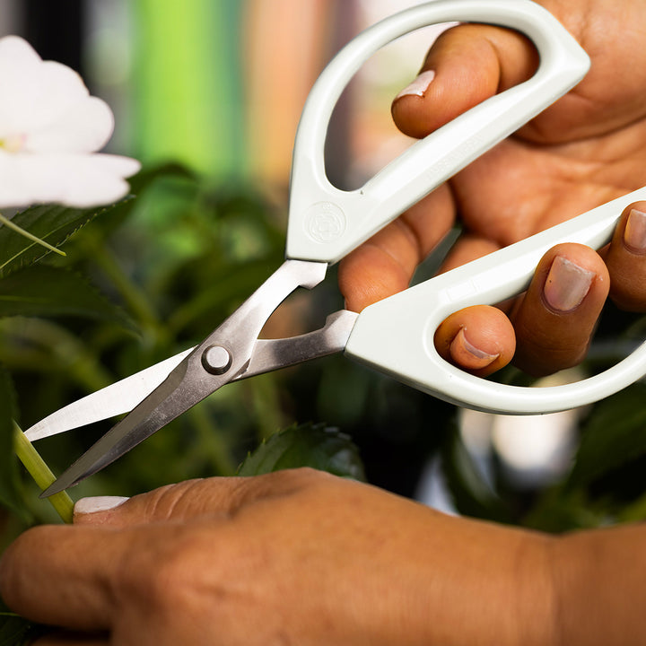 C2kWmMNG3AagCAGmPEmuW