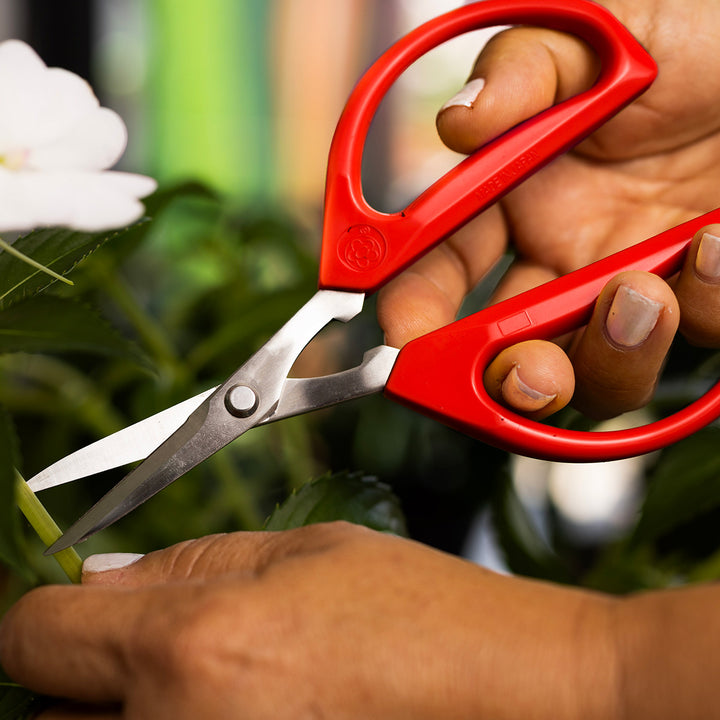 7bp1PBvzs2cTMvLMXWFnri