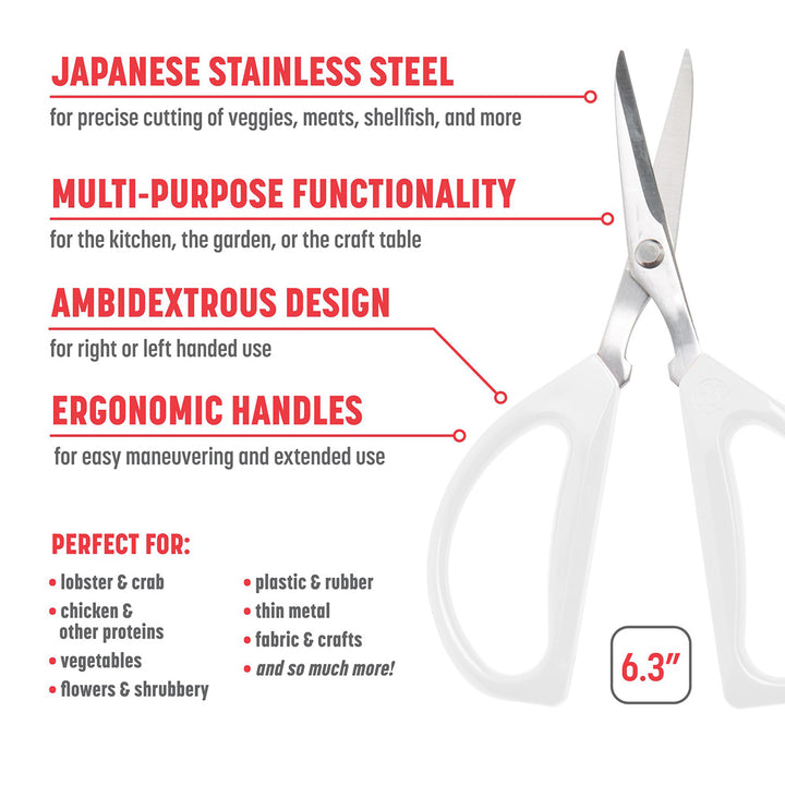 6VWBtEFJgQK6PoodjkjRW1