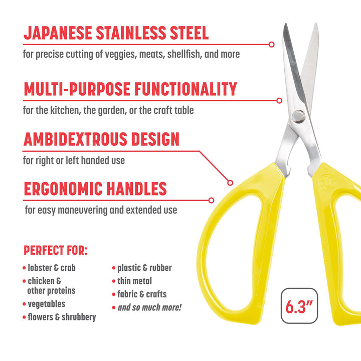 31pAeRUmnImRyrAAeFNP0v