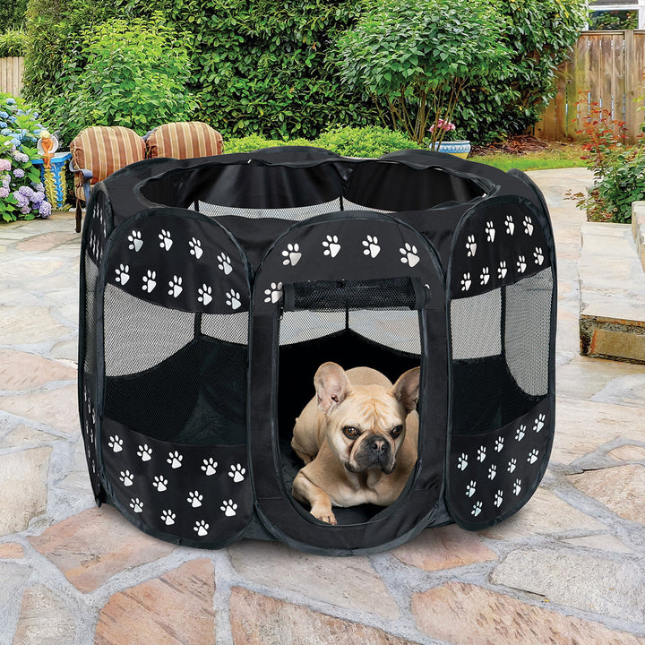 2YmgidZNKFWNzwROzpXkbl