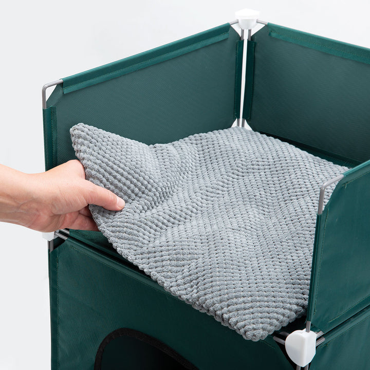 5WaI3XvB5byP24wT6YBwEW