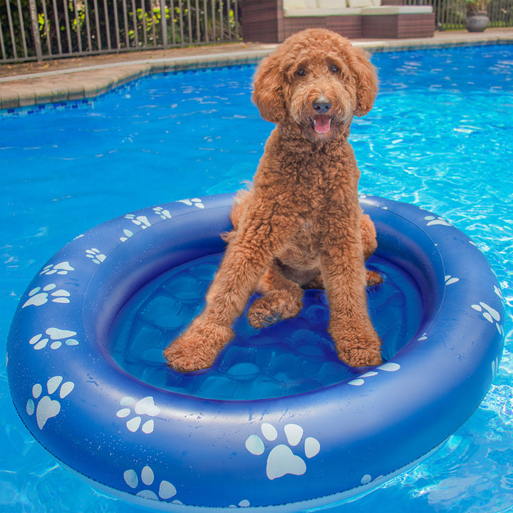 3ltBOS4zv6TsJ7CDFrOlYa