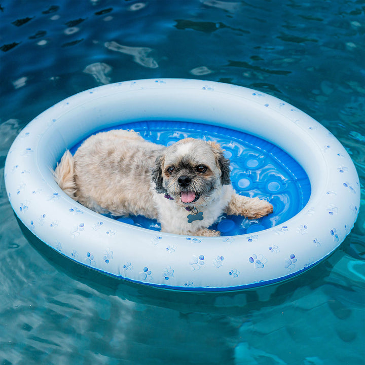 4Rt91CnCAn2zDPby8PxLpg