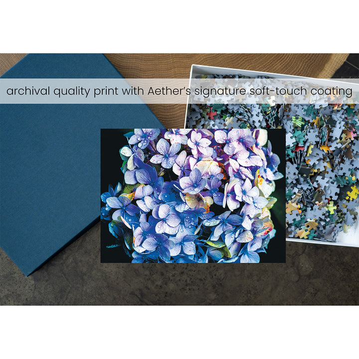 1ZAvVAmvR8azPcr9VMkWEE