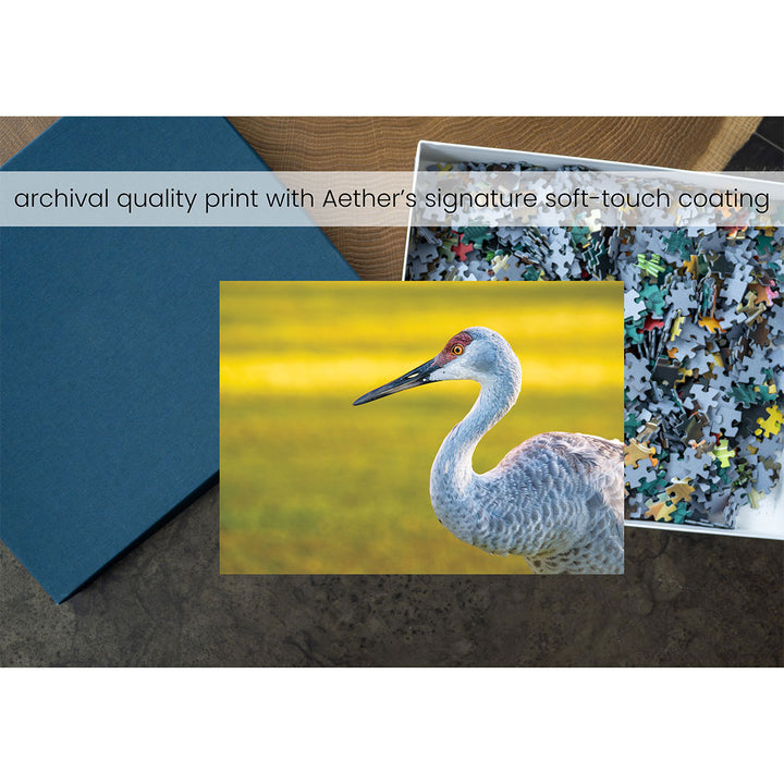 2gz4M9SlaMZSzqz6Tq4cA4